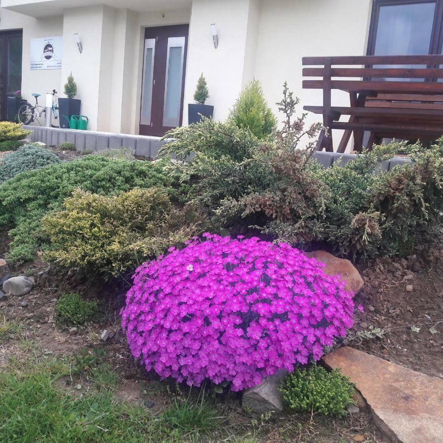 Apartamenty Przy Trakcie Cesarskim Wegierska Gorka Bagian luar foto